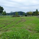 호수공원 삼거리(호수공원) 이미지