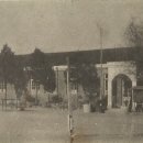 학장초등학교 이미지