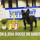 Jena house 이미지