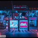 강남애견백화점 네이버블로그