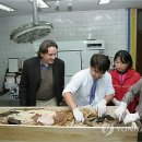 향호1리 이미지