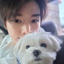 버블멍 네이버블로그