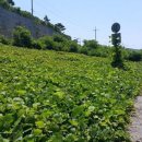 군산제일요양병원 이미지