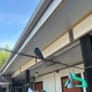 해당화피는아침 이미지