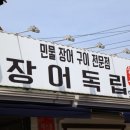 장어독립 이미지