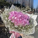 새경산꽃직판장 이미지