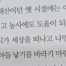 여우바라기 이미지