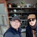 하이고래 이미지