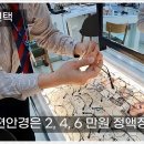 기독안경원 이미지