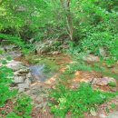 혜원네민박 이미지