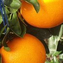 승환농장 이미지