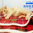 동부산동물병원 네이버블로그