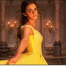 수원-0951 이미지