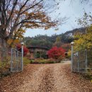 화천풀펜션 메타875 이미지