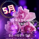 💻2021년 5월 3일 월요일 간추린 & 헤드라인 뉴스📰 이미지