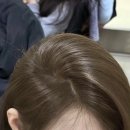 브라운비