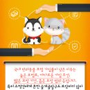 다솜동물메디컬센터 이미지