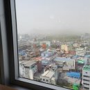 의료법인녹십자의료재단 녹십자의원 이미지