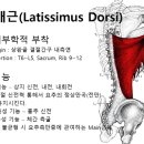 마리오 짐 네이버블로그