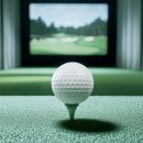 홀인원스크린 골프연습장 이미지