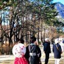 종로-종로-종로-종-117 이미지