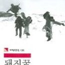 돼지병장 이미지
