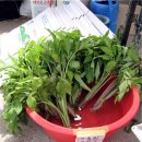 지존목장 이미지