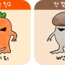 헬로봄 이미지