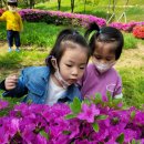 경일공원 이미지