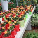 순동농장 이미지