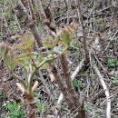 동처농장 이미지