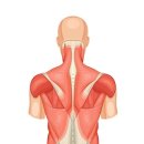 팀JJ피트니스 대곡점 이미지