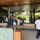 고트