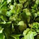 진상농장 이미지