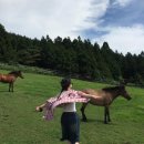 오케이사슴목장 | 제주도민 시켜줘