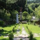 마재 이미지