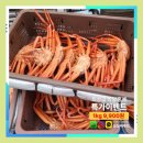 싱싱씨푸드