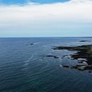 탐라도다 이미지