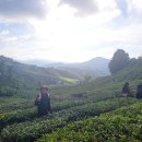 방글레농장 이미지