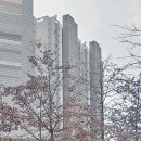 홍도유치원+홍도어린이집 이미지