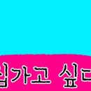 어쩔댕댕 이미지