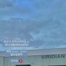 버디안 이미지