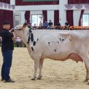 경진목장 이미지