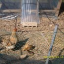 변산농장 이미지