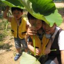 송제농원 이미지