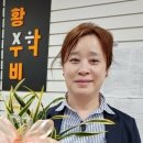 초등고학년수학지도과정 이미지