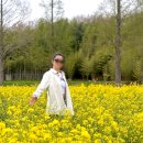 낙동강 유채단지 | 대저생태공원 유채꽃단지 후기 | 부산 낙동강 유채꽃 봄나들이 주차