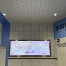 뮤지컬로 보는 동화 1회차 | 도쿄 여행 2일차 디즈니씨 가는법, 놀이기구, 반입 물품