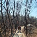 당고개길 이미지