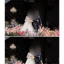윤블레스 | w.본식스냅🕊️ studio41 계약 완료/브라이덜꽃길,혼례스튜디오 /수성호텔 블레스홀